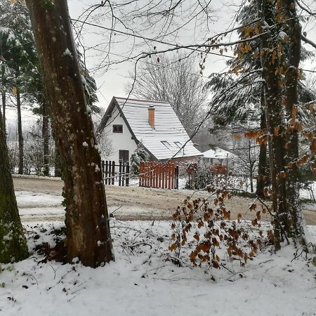 Carobna Suma *** Villa Karlovac Esterno foto