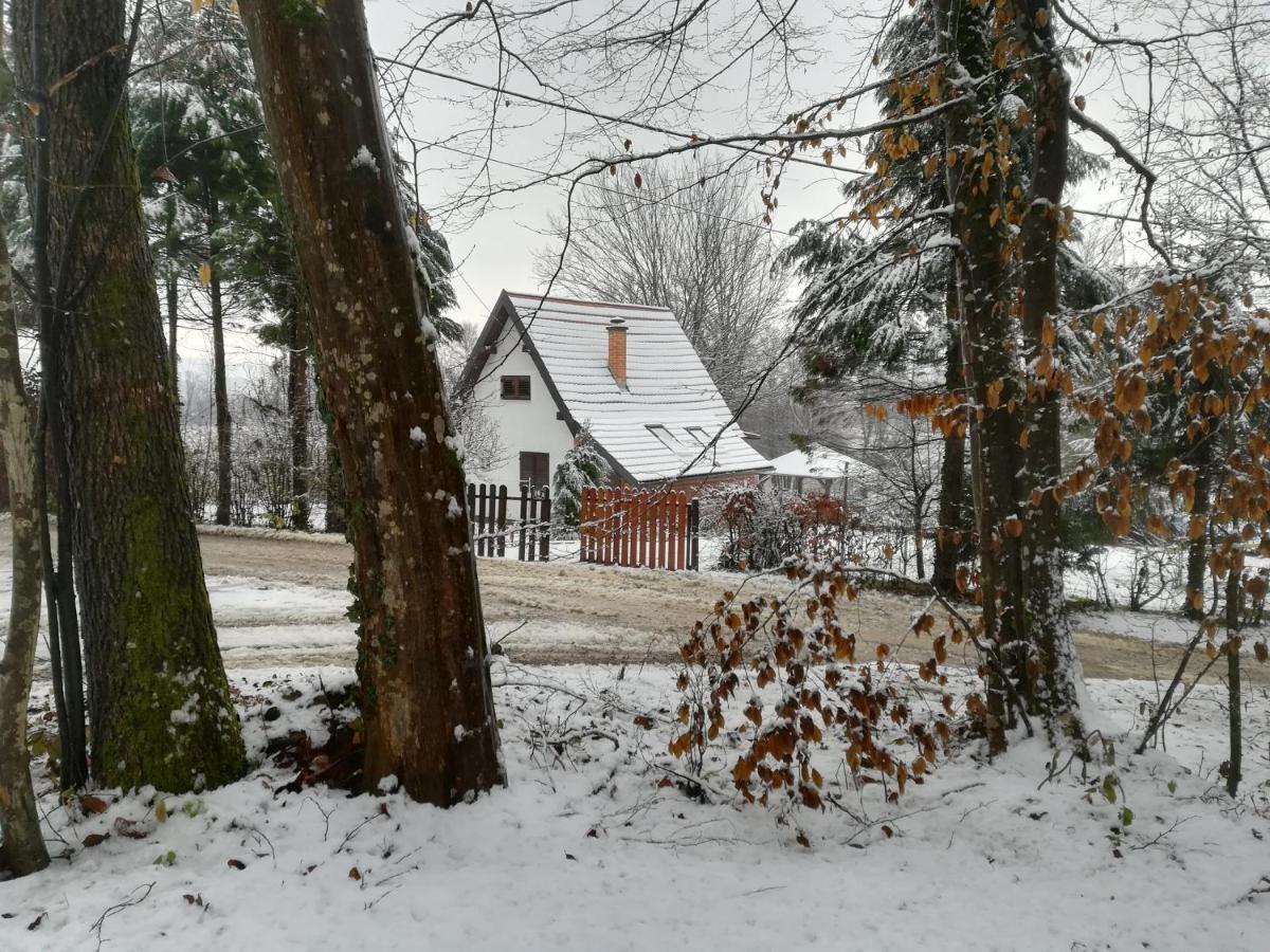 Carobna Suma *** Villa Karlovac Esterno foto