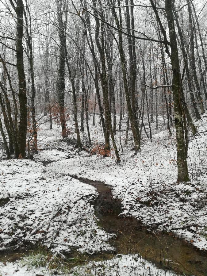 Carobna Suma *** Villa Karlovac Esterno foto